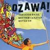 小沢健二「犬は吠えるがキャラバンは進む」