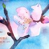 水彩画　花桃と水仙&合作