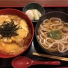 真夜中のだいぬきうどん！