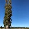 NZ Day12