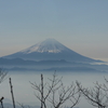 今日から如月、節分だね