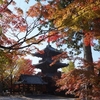 【東福寺・清水寺・永観堂・真如堂】各スポットの逆光・順光時間帯を解説。オススメ拝観時間帯は？