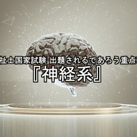 ２０２２年社会福祉士国家試験 出題されるであろう重点項目 ソーシャルワークの実践モデルとアプローチ 食べるをいかすライオン