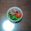 今週のミニタッパー弁当と、罰。