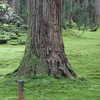 永平寺・一乗谷・平泉寺