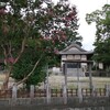 夏の終わりの神社参拝2021