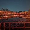 運動公園の夜桜ライトアップ
