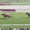 ５月４（日）　勝負・注目レース結果　ー天皇賞的中も・・・