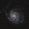 M101 今のワタスにはこれ以上頑張れませんっ