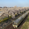 18きっぷ de 白石川堤一目千本桜（R2-33-2）