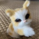 ちぇしゃの中庭