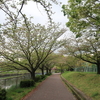荒子川公園　2020.4.21