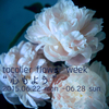 【6/22（月）〜28（日）はtocolier flower weekを開催します！】