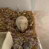 くるみあん617日目