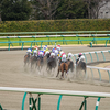 2022.2.20(日)今日のJRA勝負メイン結果 阪神・東京