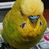 １月４日の相場を見てみたよ　チュン