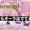 ノロマな僕の成長日記6/26