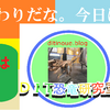 今日は今年の振り返り～ブログ始めて初の１２月３１日～