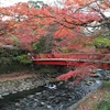 伊豆旅行 2日目 修善寺の紅葉を堪能