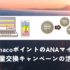 nanacoポイントのANAマイル増量交換キャンペーンの活用 お得にマイルを貯める