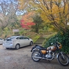 ちょい駆けの日🏍♨