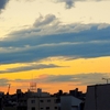 👼🐉大都市🗼東京の夕景色
