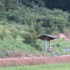 お散歩道、秋めいた空を撮る