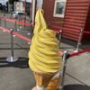 とれのさとのベジソフト、今月登場したかぼちゃのソフトクリームがとっても美味しい