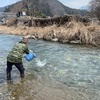 犬上川　成魚放流完了！