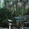 大神神社写真館（７/１６）