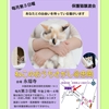 保護猫と触れ合える☆5/18(日)ねこのおうちさがし＠忠岡のご案内