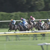 土曜の新潟 8R ダリア賞のレース回顧