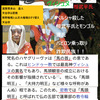 国連の動きと外務省の動き　金(小和田恒)と小和田親族の派閥　　国連以外の（李一派）川嶋派閥のバックヤードは英・オランダ・ドイツ・NY