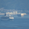 　豪華客船NORWEGIAN SPIRIT