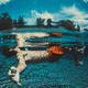 iPhoneで水中写真を撮る方法と撮影時の注意点について