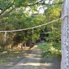 角田浜の熊野神社