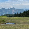 【日本百名山お花いっぱい苗場山登山　天空のお花畑？キヌガサソウに出会う】