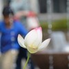 水生植物公園みずの森