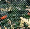 金魚