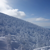 蔵王の樹氷を見に行ってきた