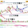 【仮想通貨投資】初心者が気をつける事は？