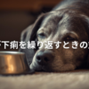 【Q&A】老犬が下痢を繰り返すときの原因と対処法｜腸ケアサプリ「毎日爽快」も紹介