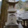 奈良の紅葉2017②長谷寺