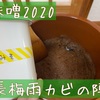 味噌2020〜長梅雨カビの陣〜