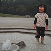 あーあーこけたか