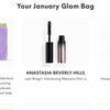 IPSY 今月の中身（Jan 2023）