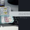20240904