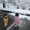 12/18雪遊び