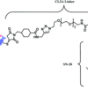 Trop-2を標的にした抗体薬物複合体 sacituzumab govitecan