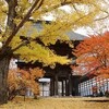 大町　霊松寺　紅葉狩り